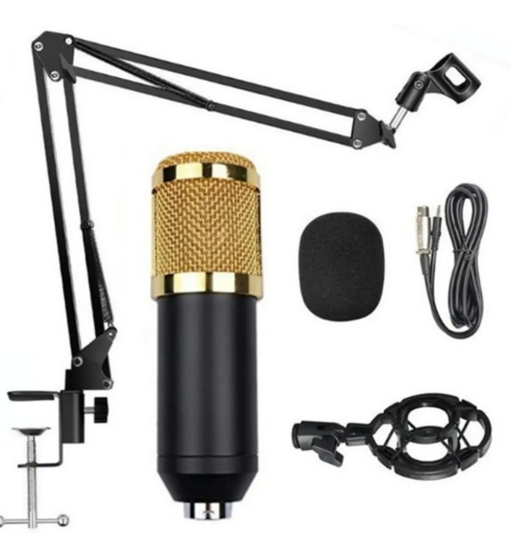 Kit de Microfono Profesional